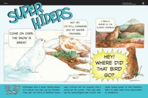 Super Hider Wayside Glacier National Park Exhibit